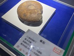 -贝壳王国博物馆