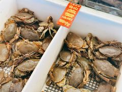 -新金盛·海鲜酒楼(盐田店)