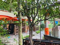 -二荆条·蜀鲜汇城市森林火锅