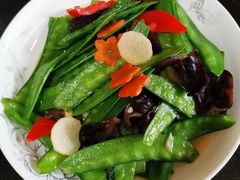 -田螺阿姨自营月嫂·育儿嫂(高新店)