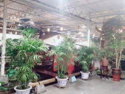 点击看大图 -特味村·宴会厅(生态园店)