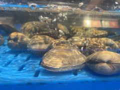 -海底捞火锅(长宁路龙之梦店)