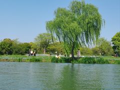 -西溪国家湿地公园