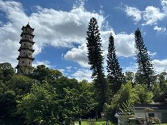 -江心屿景区