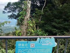 -七仙岭温泉国家森林公园