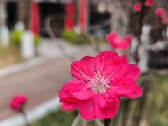 -塔子山公园