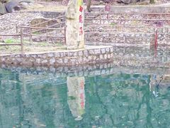 -洛阳花果山景区