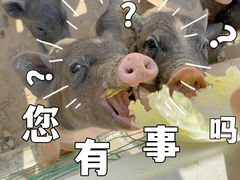 -前小桔亲子创意农场·草莓采摘·露营烧烤
