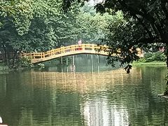 -晓港公园