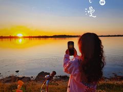 -丁香湖公园