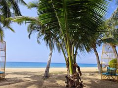 -三亚海棠湾万丽度假酒店