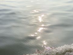 -长洲岛