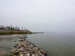 -合肥滨湖国家森林公园