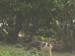 -迎泽公园