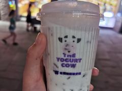 -重庆十八梯传统风貌区