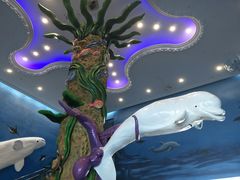 -芜湖新华联大白鲸海洋公园