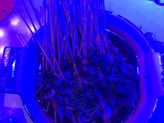 -阳光钱柜KTV(八一路店)