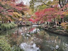 -秋霞圃