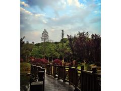 -洪湖悦兮半岛国际温泉度假村