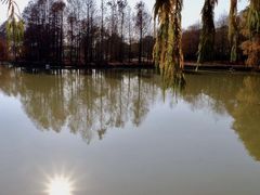 -上海海湾国家森林公园