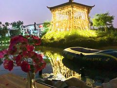 -樂桃源奉贤黄桃种植采摘基地