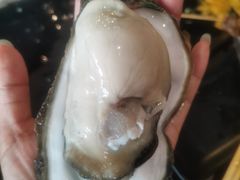 -土蚝·高压锅生蚝(百姓美食街店)