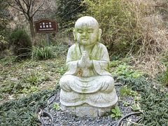 -东明山森林公园