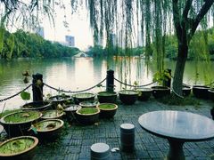 -包公祠