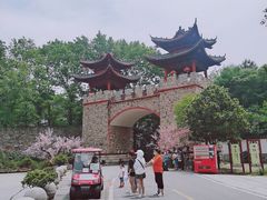 -木兰云雾山