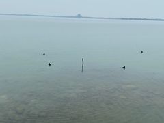 -阳澄湖半岛旅游度假区