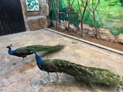 点击看大图 -宝燕乐园(闵行旗舰店)