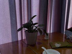 -香浙汇(望京店)