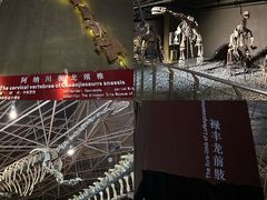 -世界恐龙谷景区