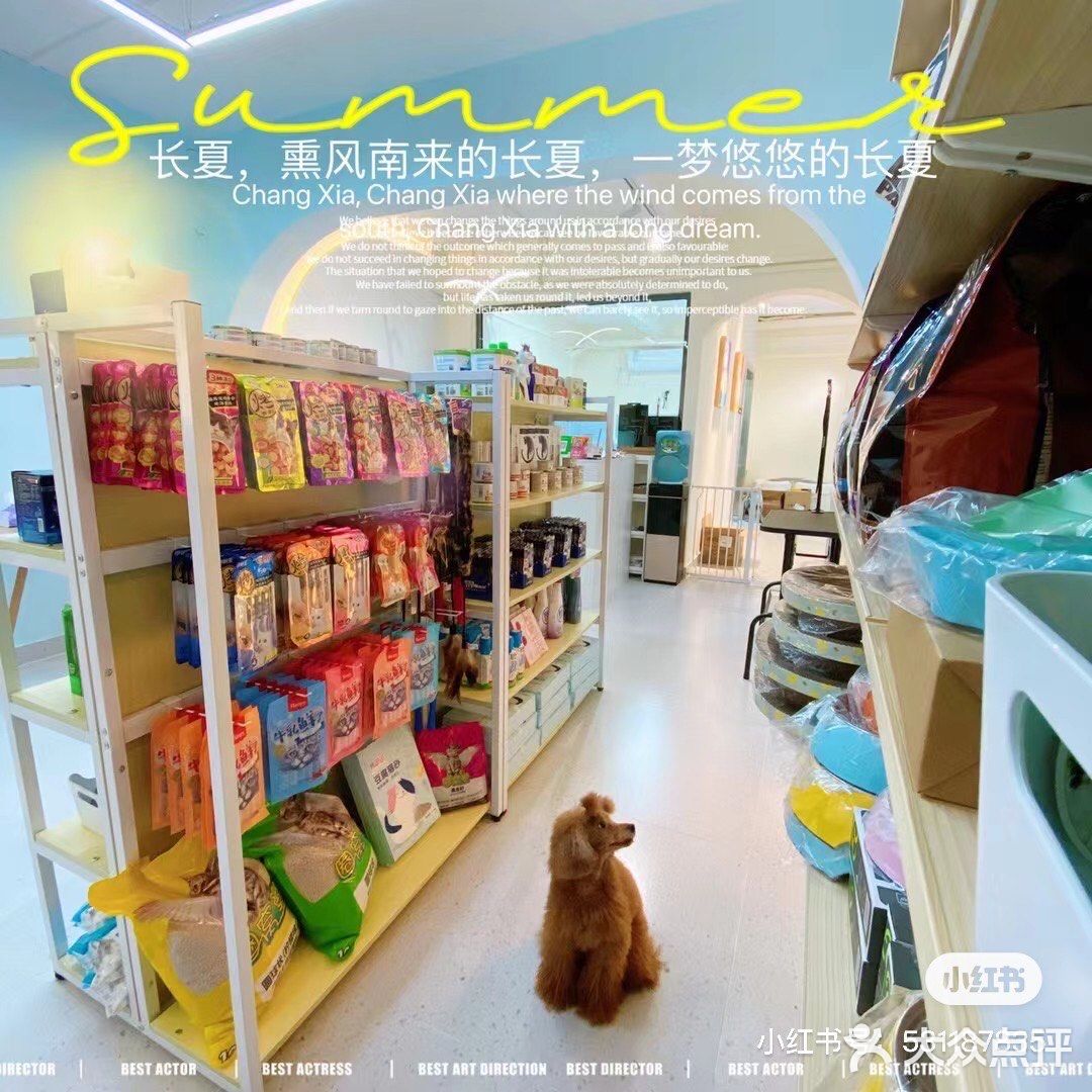 德政中老城中的宠物店