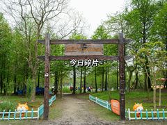 -上海长兴岛郊野公园