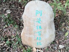 -羚羊峡古栈道森林公园
