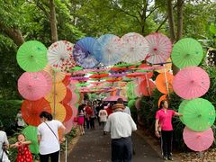 -广西壮族自治区药用植物园