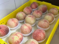 -老袁家蜜桃农场·阳山水蜜桃