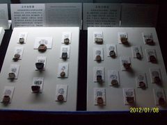 古陶文明博物馆&nbsp;(10)-古陶文明博物馆