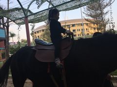 -灵玲国际马戏城