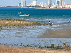 -青岛第二海水浴场