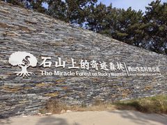 -北京西山国家森林公园