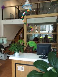 -章光101养发生发防脱发