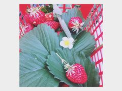 -普迪生态园