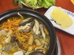 -菌之家·专业纯野生菌火锅·特色炒菌