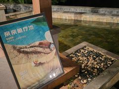 -三亚亚龙湾人间天堂鸟巢度假村
