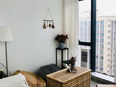 -HALF ORANGE 半个橙子