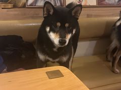-柴の食堂·日式家庭料理·熊之肆(大学路店)
