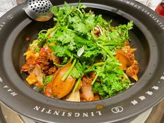 -领鲜天下·焗海鲜·花胶鸡(天目里店)