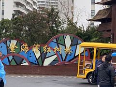 -北海金海湾红树林生态旅游区